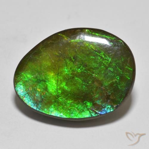16.14ct Natural Multicolor amolita, Elegante, Opaco