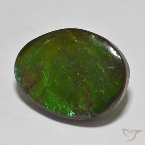 amolita Multicolor natural de 16.14 ct, Elegante, Opaco