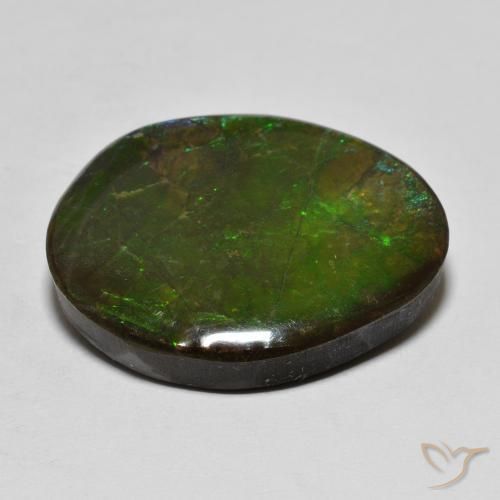 amolita Multicolor natural de 16.14 ct, Elegante, Opaco