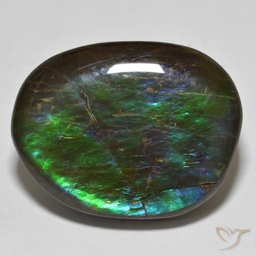 19.98ct Natural Multicolor amolita, Elegante, Opaco