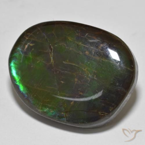 amolita Multicolor natural de 19.98 ct, Elegante, Opaco