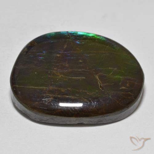 amolita Multicolor natural de 19.98 ct, Elegante, Opaco