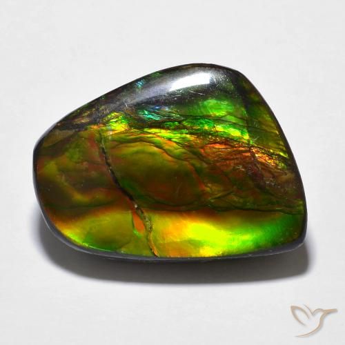 16.94ct Natural Multicolor amolita, Elegante, Opaco