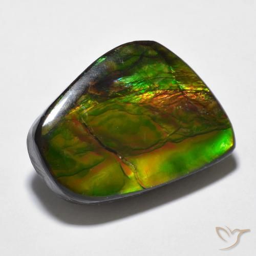 amolita Multicolor natural de 16.94 ct, Elegante, Opaco