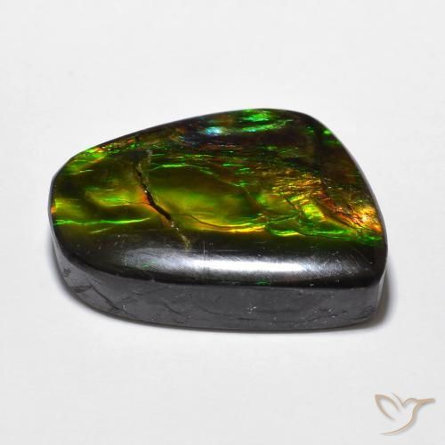 amolita Multicolor natural de 16.94 ct, Elegante, Opaco