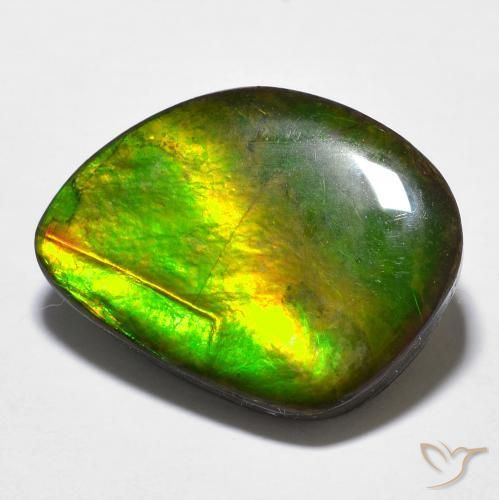 11.97ct Natural Multicolor amolita, Elegante, Opaco