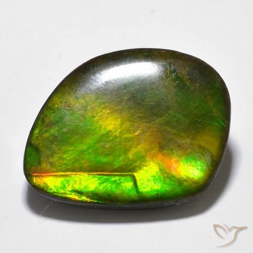 amolita Multicolor natural de 11.97 ct, Elegante, Opaco
