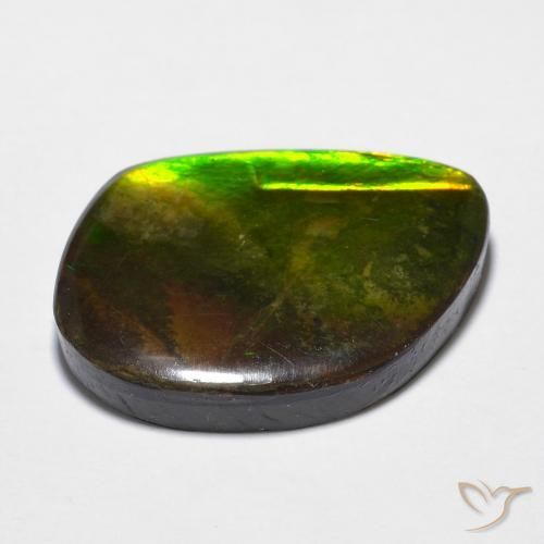 amolita Multicolor natural de 11.97 ct, Elegante, Opaco