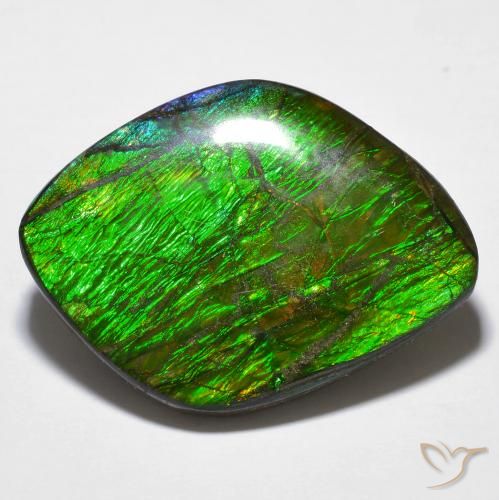 14.32ct Natural Multicolor amolita, Elegante, Opaco