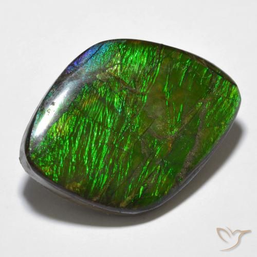 amolita Multicolor natural de 14.32 ct, Elegante, Opaco