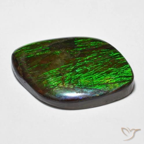 amolita Multicolor natural de 14.32 ct, Elegante, Opaco