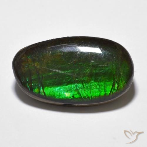 11.20ct Natural Multicolor amolita, Elegante, Opaco