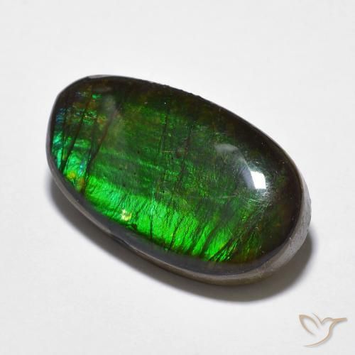 amolita Multicolor natural de 11.20 ct, Elegante, Opaco