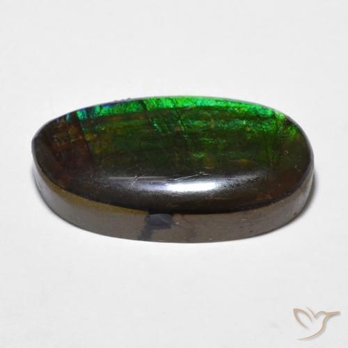 amolita Multicolor natural de 11.20 ct, Elegante, Opaco