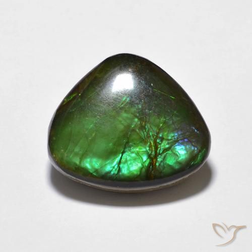 10.69ct Natural Multicolor amolita, Elegante, Opaco