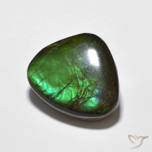 amolita Multicolor natural de 10.69 ct, Elegante, Opaco