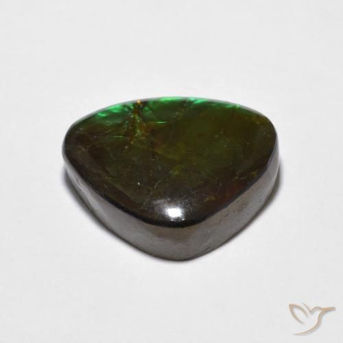 amolita Multicolor natural de 10.69 ct, Elegante, Opaco