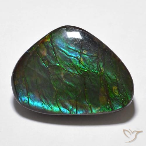 14.68ct Natural Multicolor amolita, Elegante, Opaco