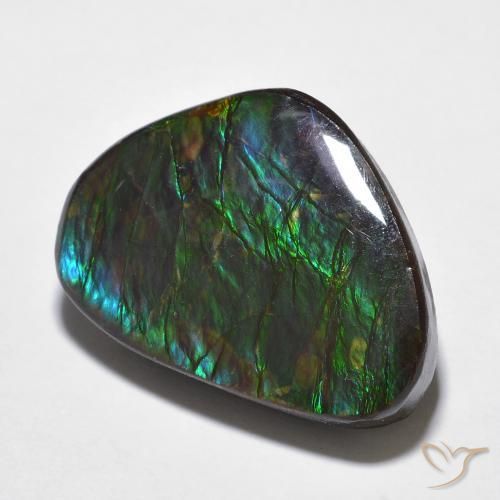 amolita Multicolor natural de 14.68 ct, Elegante, Opaco