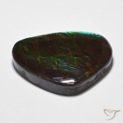 amolita Multicolor natural de 14.68 ct, Elegante, Opaco