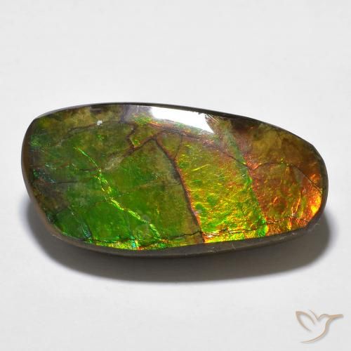 amolita Multicolor natural de 14.29 ct, Elegante, Opaco