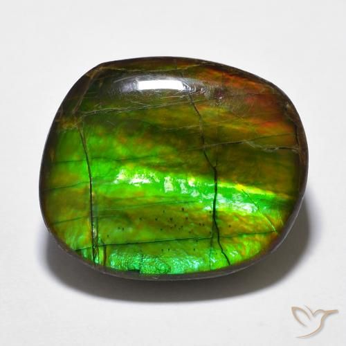 15.59ct Natural Multicolor amolita, Elegante, Opaco