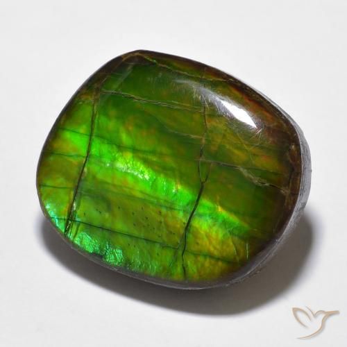 amolita Multicolor natural de 15.59 ct, Elegante, Opaco
