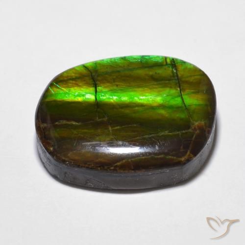 amolita Multicolor natural de 15.59 ct, Elegante, Opaco