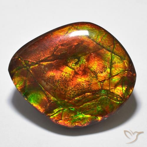 23.51ct Natural Multicolor amolita, Elegante, Opaco