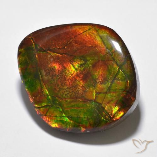 amolita Multicolor natural de 23.51 ct, Elegante, Opaco