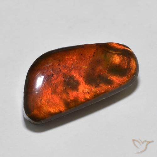 amolita Multicolor natural de 10.53 ct, Elegante, Opaco