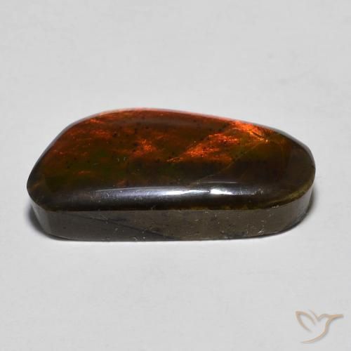 amolita Multicolor natural de 10.53 ct, Elegante, Opaco