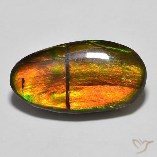 11.32ct Natural Multicolor amolita, Elegante, Opaco