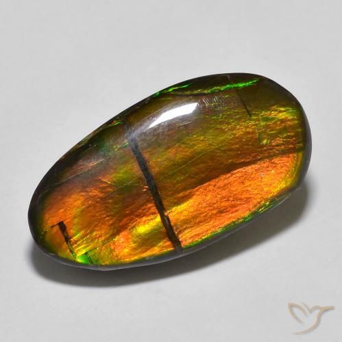 amolita Multicolor natural de 11.32 ct, Elegante, Opaco