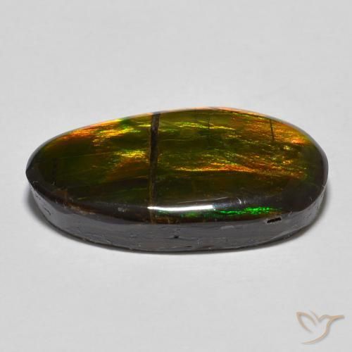 amolita Multicolor natural de 11.32 ct, Elegante, Opaco