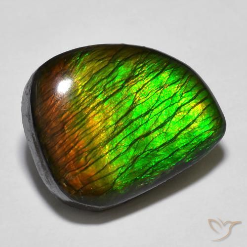 12.97ct Natural Multicolor amolita, Elegante, Opaco