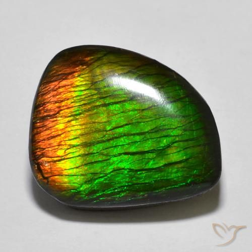 amolita Multicolor natural de 12.97 ct, Elegante, Opaco
