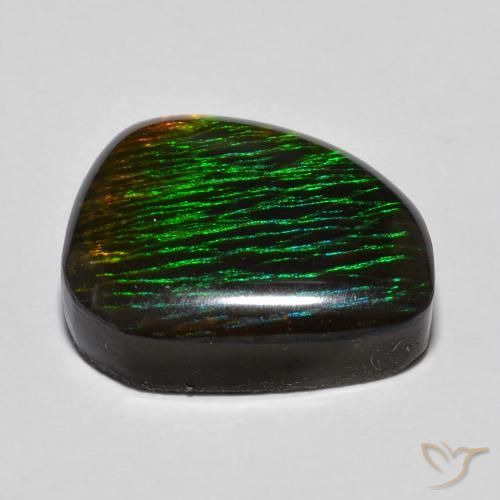 amolita Multicolor natural de 12.97 ct, Elegante, Opaco
