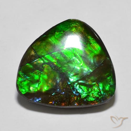 amolita Multicolor natural de 13.78 ct, Elegante, Opaco