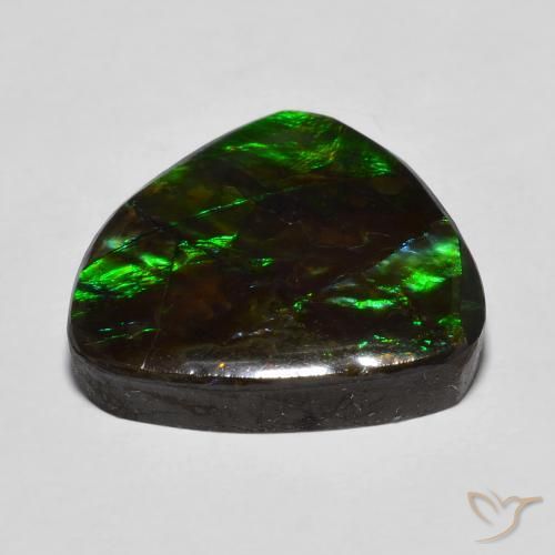 amolita Multicolor natural de 13.78 ct, Elegante, Opaco