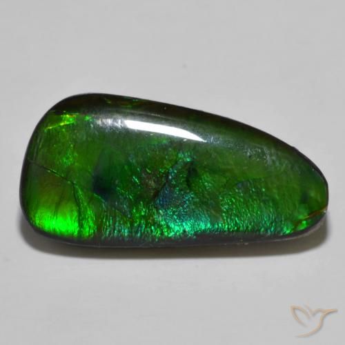 11.49ct Natural Multicolor amolita, Elegante, Opaco