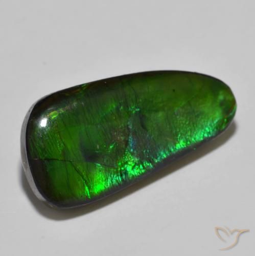 amolita Multicolor natural de 11.49 ct, Elegante, Opaco