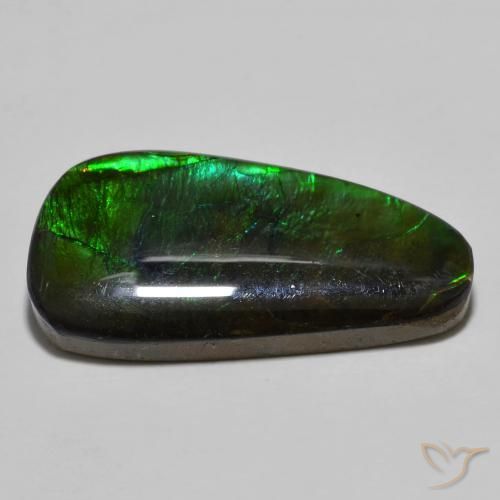 amolita Multicolor natural de 11.49 ct, Elegante, Opaco