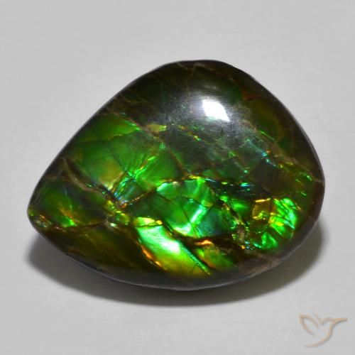12.91ct Natural Multicolor amolita, Elegante, Opaco