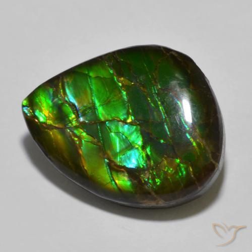 amolita Multicolor natural de 12.91 ct, Elegante, Opaco