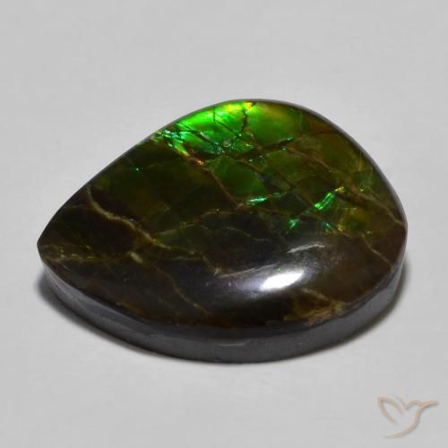 amolita Multicolor natural de 12.91 ct, Elegante, Opaco