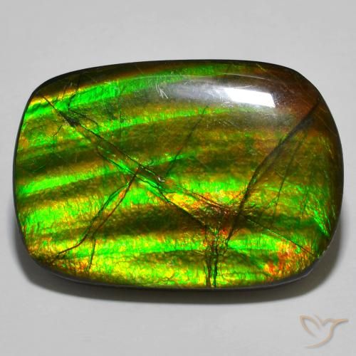 19.01ct Natural Multicolor amolita, Elegante, Opaco