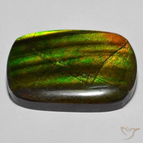 amolita Multicolor natural de 19.01 ct, Elegante, Opaco