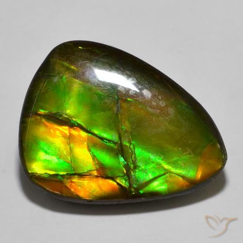 amolita Multicolor natural de 16.39 ct, En forma de pera, Opaco