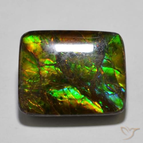 16.01ct Natural Multicolor amolita, Forma Cojín, Opaco